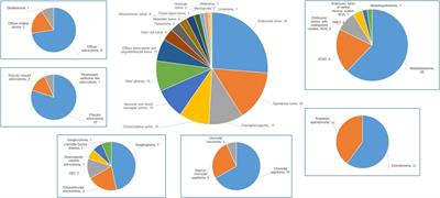 A single-center experience of central nervous system tumors in children under three years old